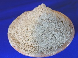 食べられるかつお椎茸昆布だし【無添加】 50g 【今週の無料お試し】《国産原料100%》(6月13日AM9時迄)