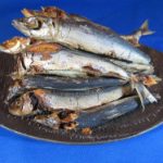 うるめ節 100g 【今週の無料お試し】《牛深産》(3月21日AM9時迄)