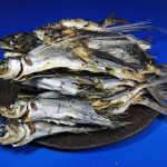 あご煮干し(平戸産:牛深製造) 9kg【訳あり特価】