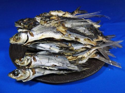 あご煮干し(平戸産:牛深製造) 9kg【訳あり特価】