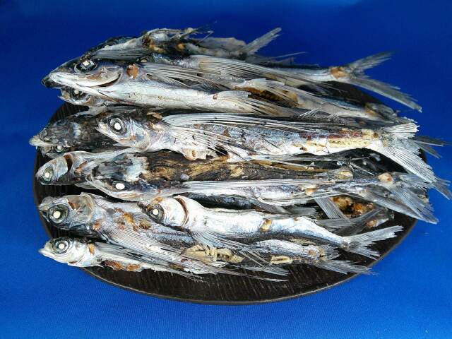 あご煮干し(平戸産:牛深加工) 1kg・7kg 【新物】を販売いたします【新商品】
