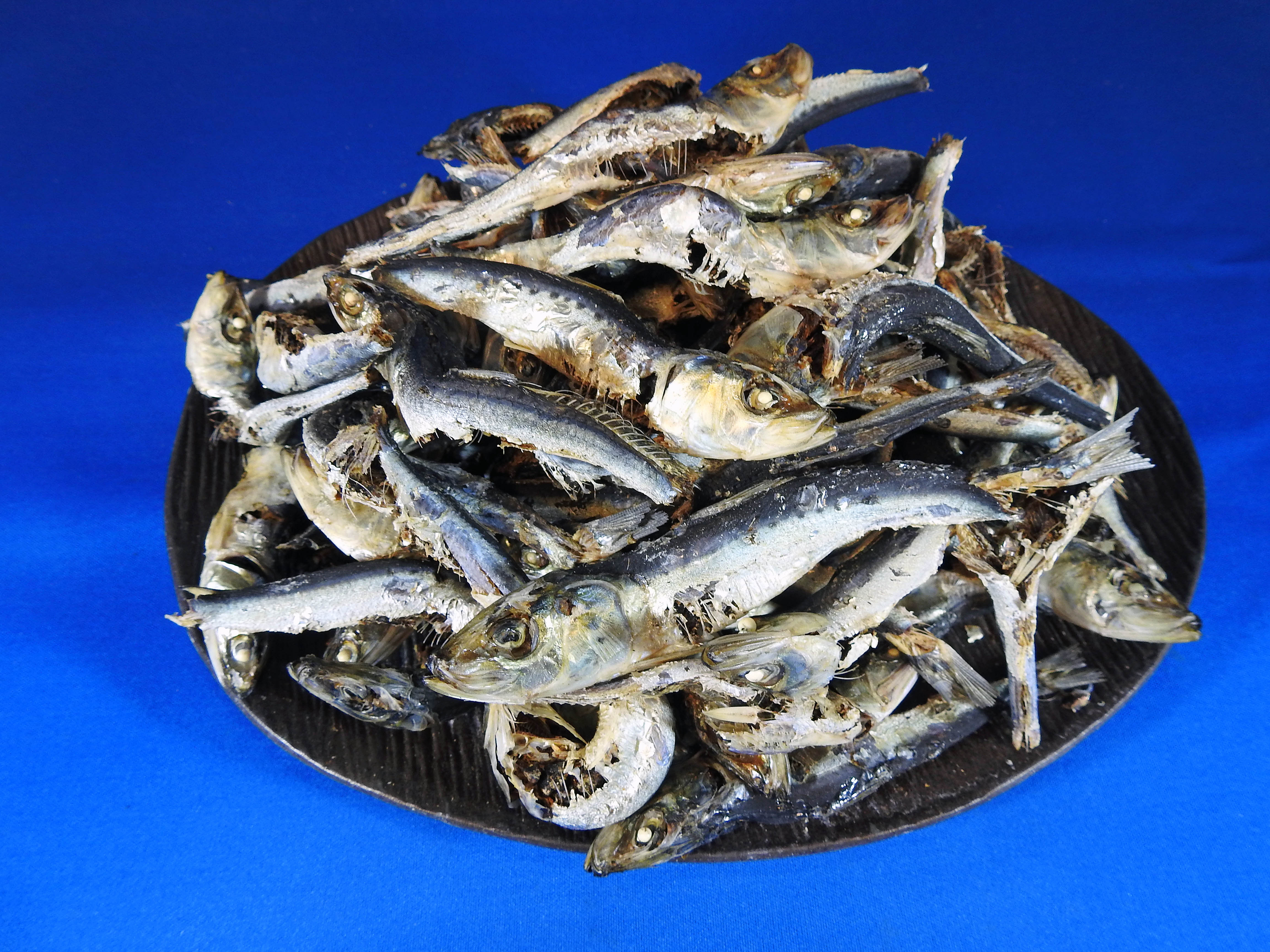 平子煮干し いわし うるめ混じり 10kg 業務用販売 通販 卸売 ネット商社ドットコム 平子煮干し いわし うるめ混じり 10kg 業務用販売 通販 卸売 ネット商社ドットコム