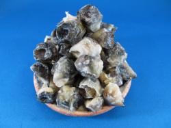 
アカニシ貝(ニシ貝)SS