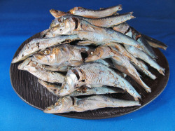 平子煮干し 大 100g