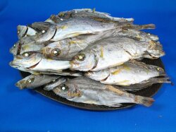イサキ煮干し 8.5kg 【レア煮干し：限定品】