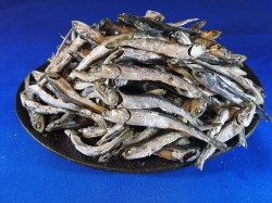 煮干しいわし(瀬戸内) 上