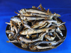 煮干しいわし・平子混合(牛深)