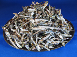 煮干しいわし 小(長崎) 1kg