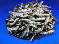 煮干しいわし(うるめ・平子混り：牛深)