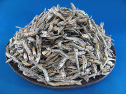 煮干しいわし(瀬戸内) 白タレ 1kg