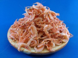 釜揚げ桜えび(由比：駿河湾) 1kg 