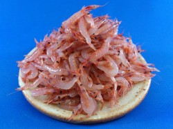 生桜えび(由比：駿河湾) 200g