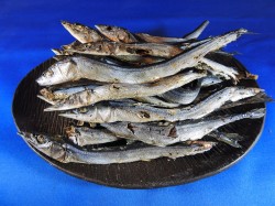 サンマ煮干し 100g