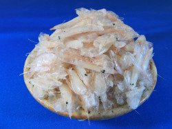 白えびの頭(富山産) 1kg