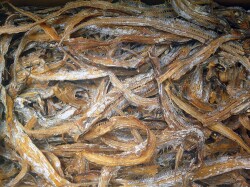 タチウオ煮干し 5kg 【訳あり特価】