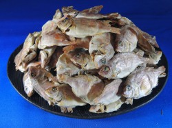 鯛煮干し 小 1kg