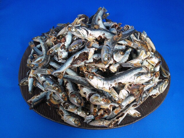 煮干しいわし(牛深) 大羽 10kg 訳あり特価