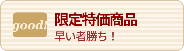 限定特価商品 早い者勝ち！