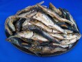 だし・ラーメンスープ用食材、いわし節、うるめ節